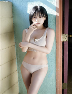 《甄子丹电影全集》