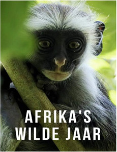 超少年侦探团NEO