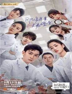 一夜爱情美国版